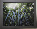 Bamboos Photo Wall Frame