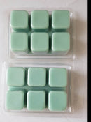 Oceanus fragrance is fresh and slightly salty, frequently used in male-oriented products. (70g) affordable and applicable for Scentsy wax warmer.